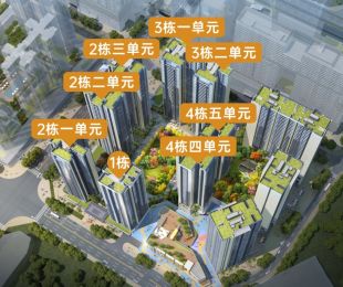效果图