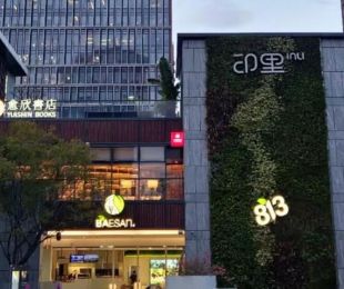 实景图