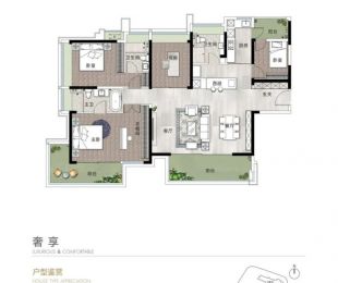 样板图