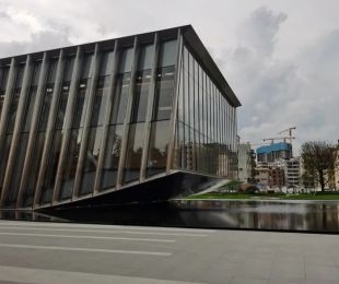 样板图