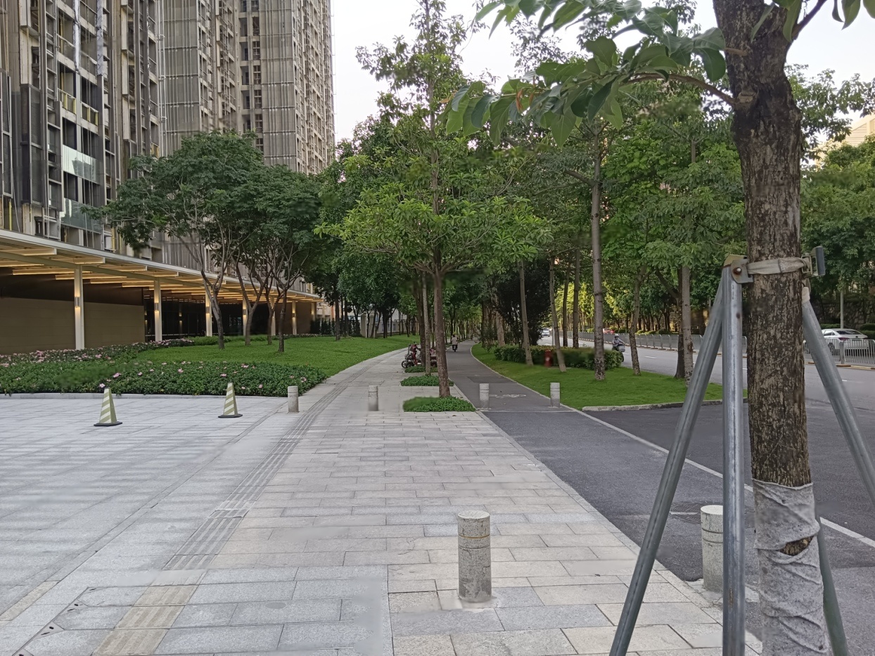 实景图