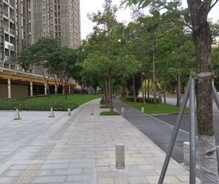 实景图