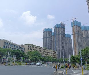 实景图