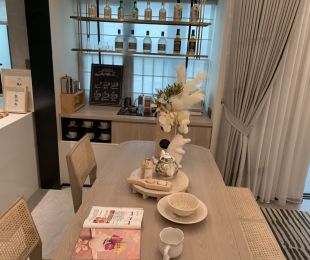 样板图