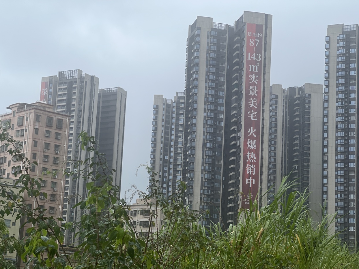 样板图
