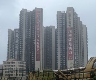样板图