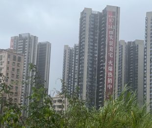 样板图