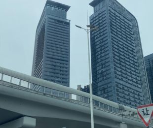实景图
