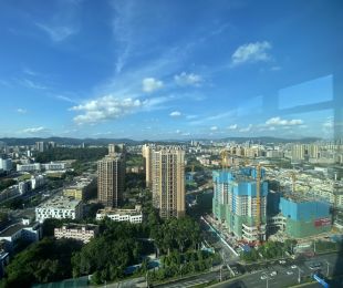 实景图