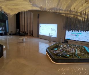 实景图