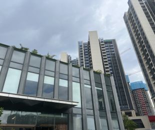 实景图