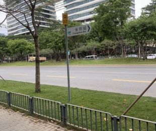 样板图