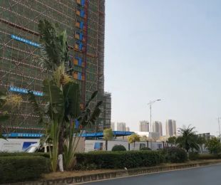 样板图