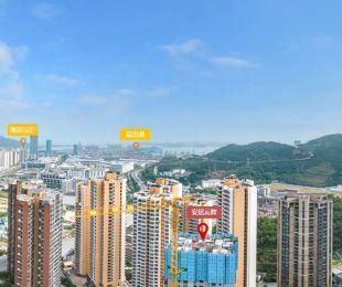 实景图