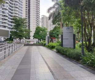 实景图
