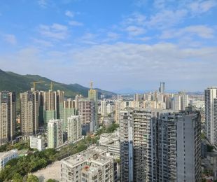 实景图