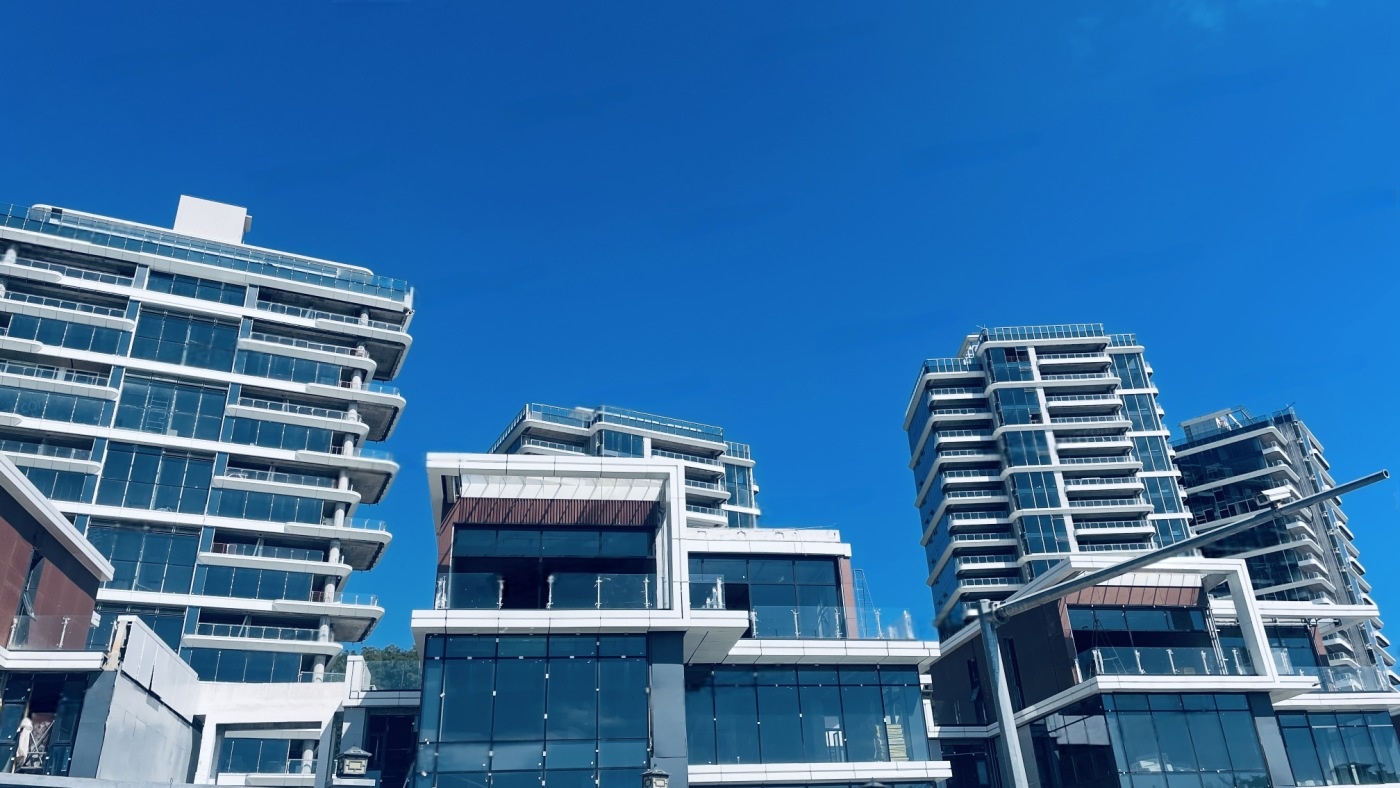 实景图