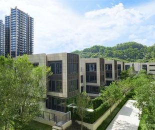 实景图