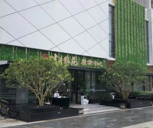 实景图
