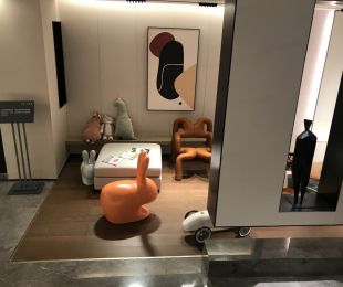 样板图